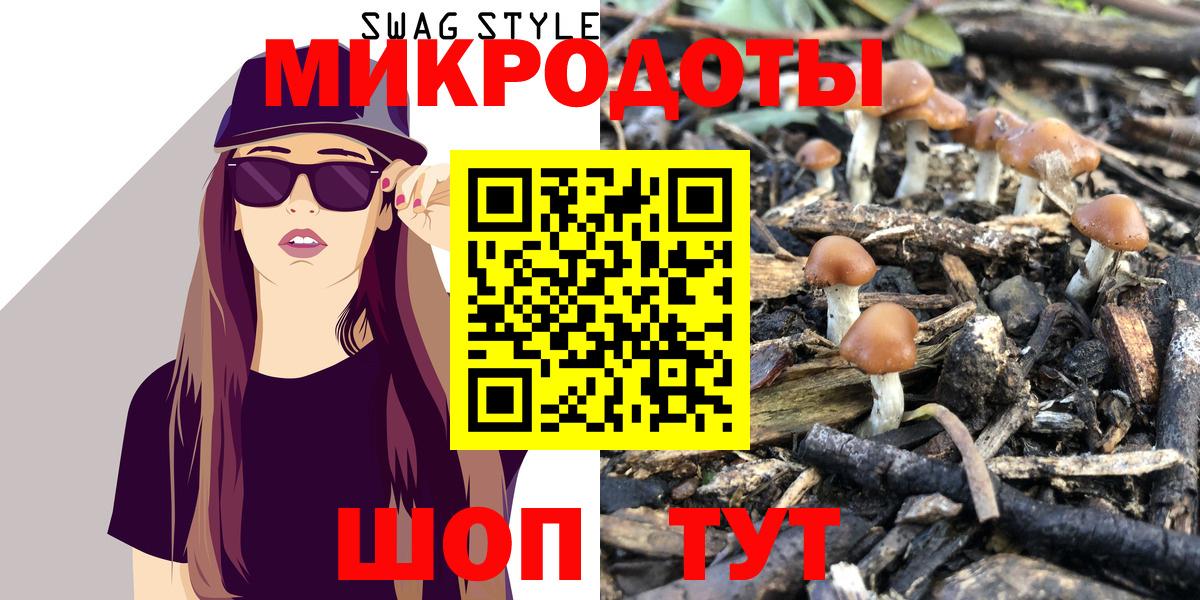 Галлюциногенные грибы Psilocybe  наркота  Галлюциногенные грибы ЛСД  Кудрово  Вход с VPN 